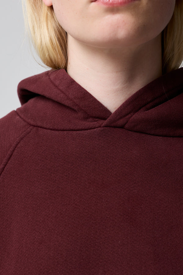 Ryan Shrunken Hoodie