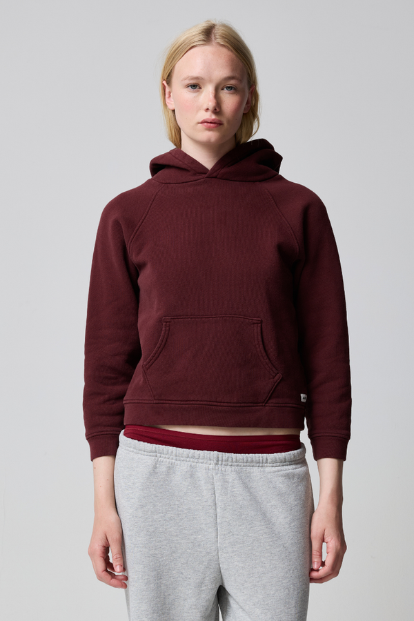 Ryan Shrunken Hoodie