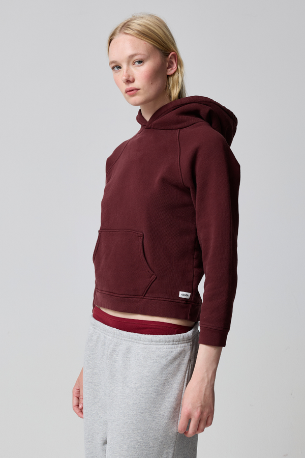 Ryan Shrunken Hoodie